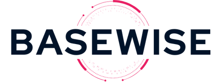 BASEWISE.AI THEME (6)-1